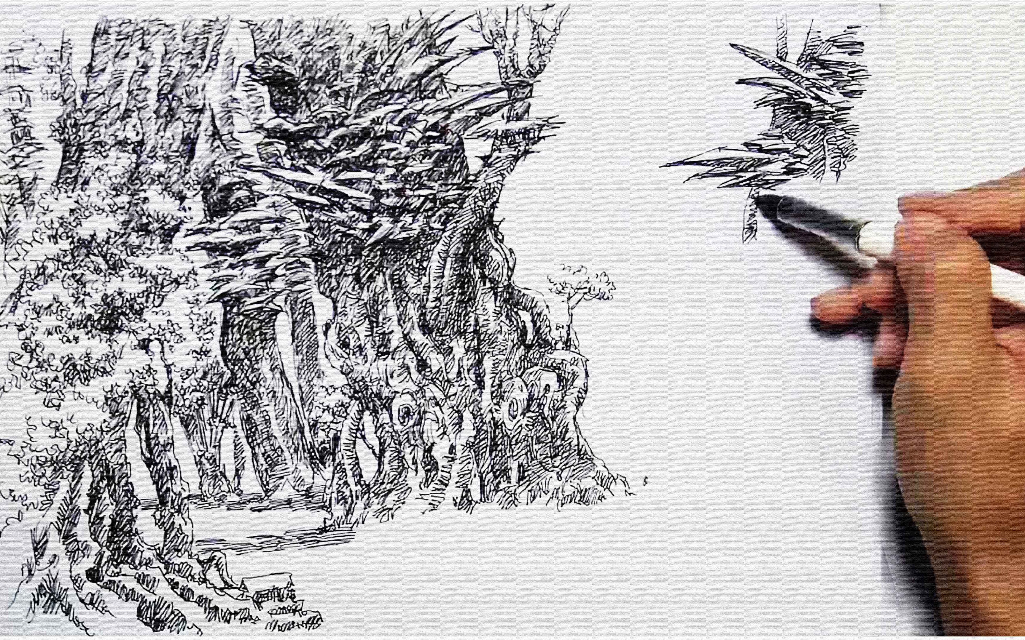 茂密树林怎么画素描图片