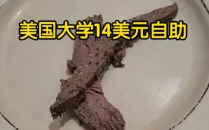 Download Video: 美国大学食堂14美元自助是啥样？夹肉一样手抖！