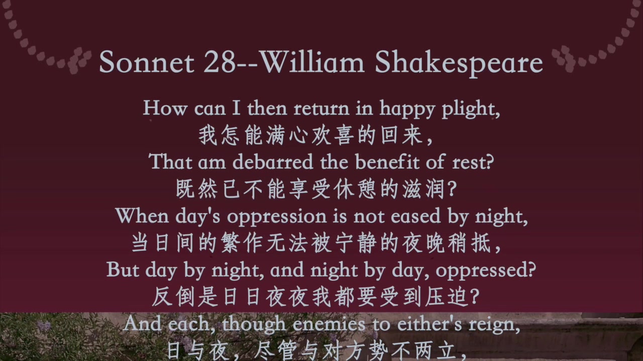 [图]Sonnet 28--William Shakespeare