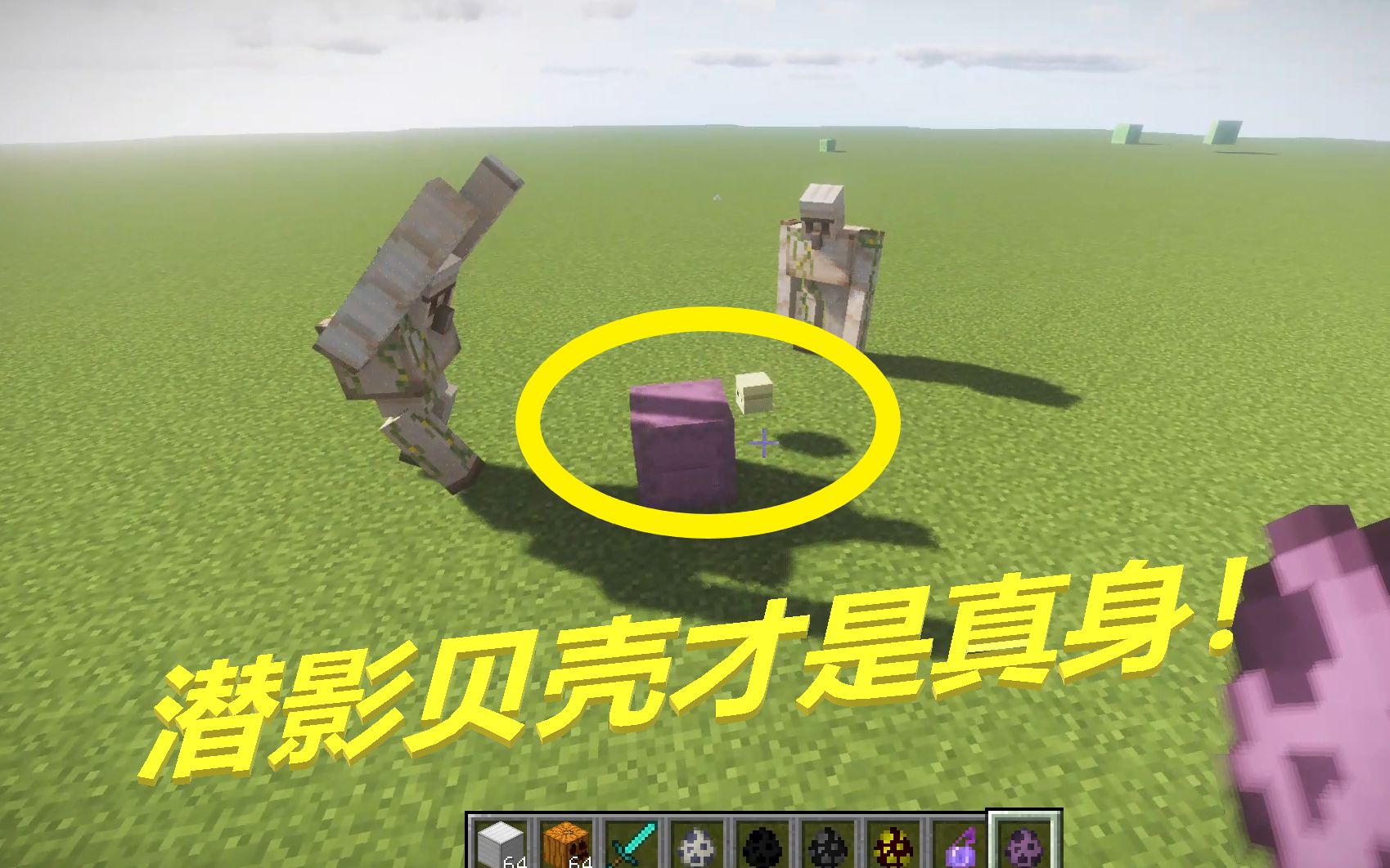 我的世界:潜影贝的贝壳才是主体吗,试验一下!