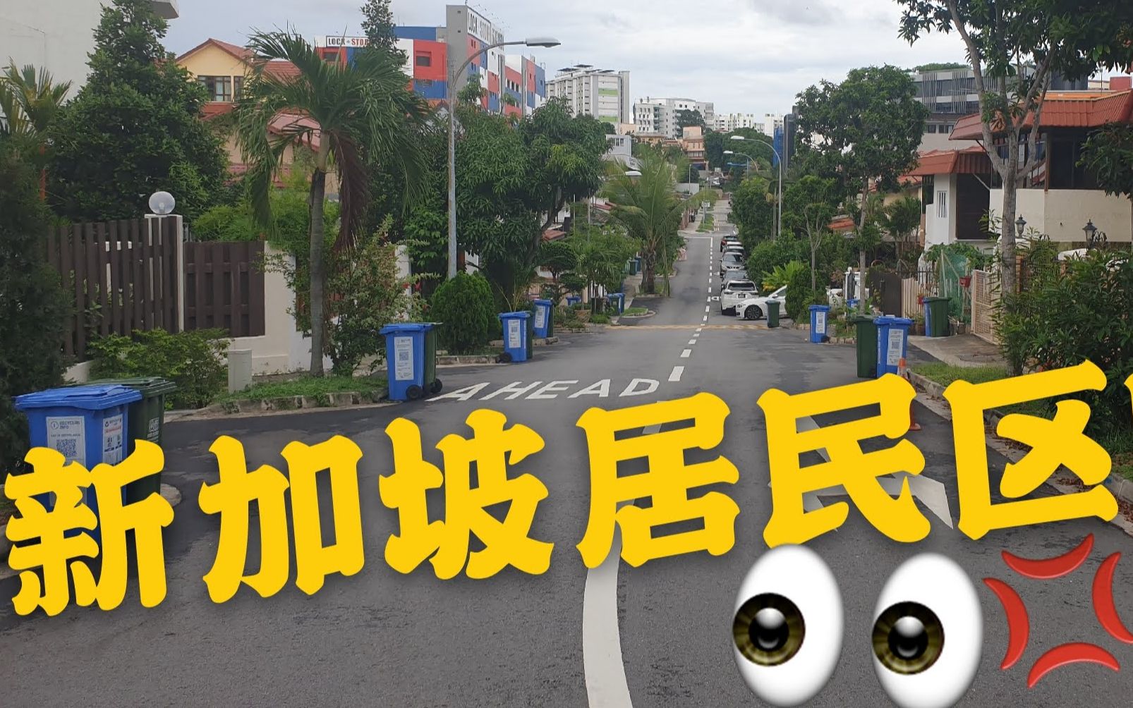 带你看看新加坡居民区,保证让你大吃一惊