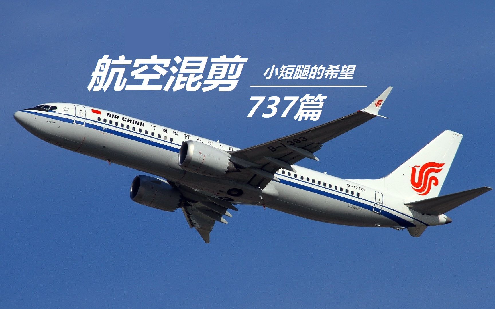 【踩点/绝美/混剪】小短腿波音737混剪——小短腿的希望_哔哩哔哩