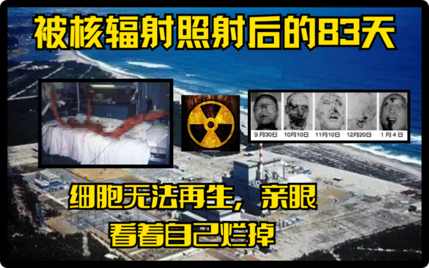 东海村核电站图片