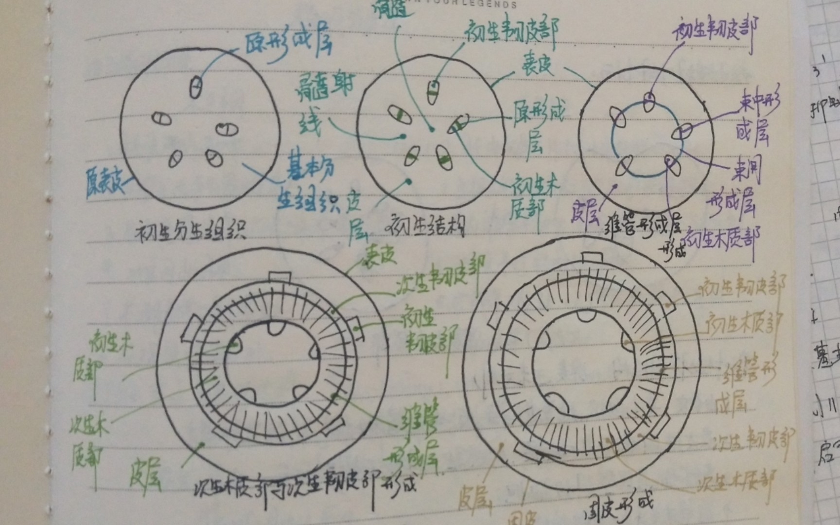 [图]一个生物竞赛生即将走向战场