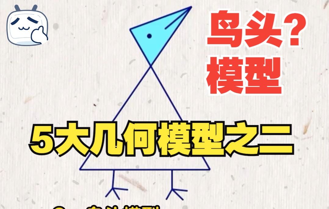2鸟头?模型