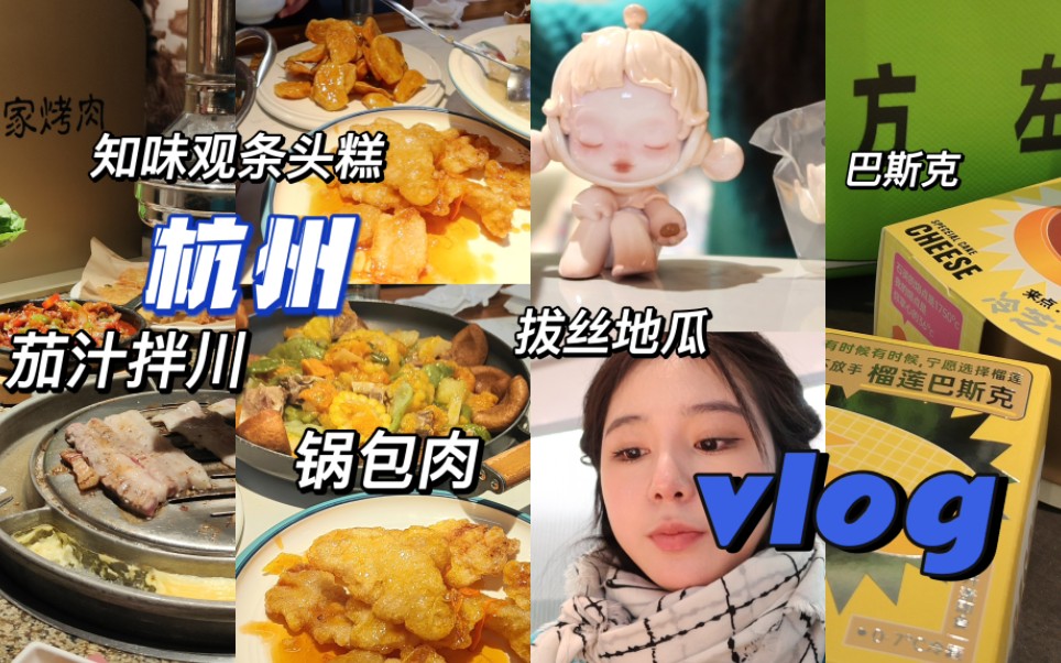 杭州吃喝vlog|陪爸妈的周末时间|广莲申|知味观|锅包肉|桂花米酒|烤肉哔哩哔哩bilibili