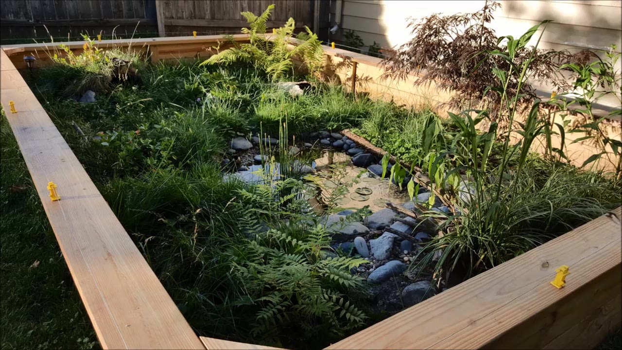 庭院养龟池的建造图图片