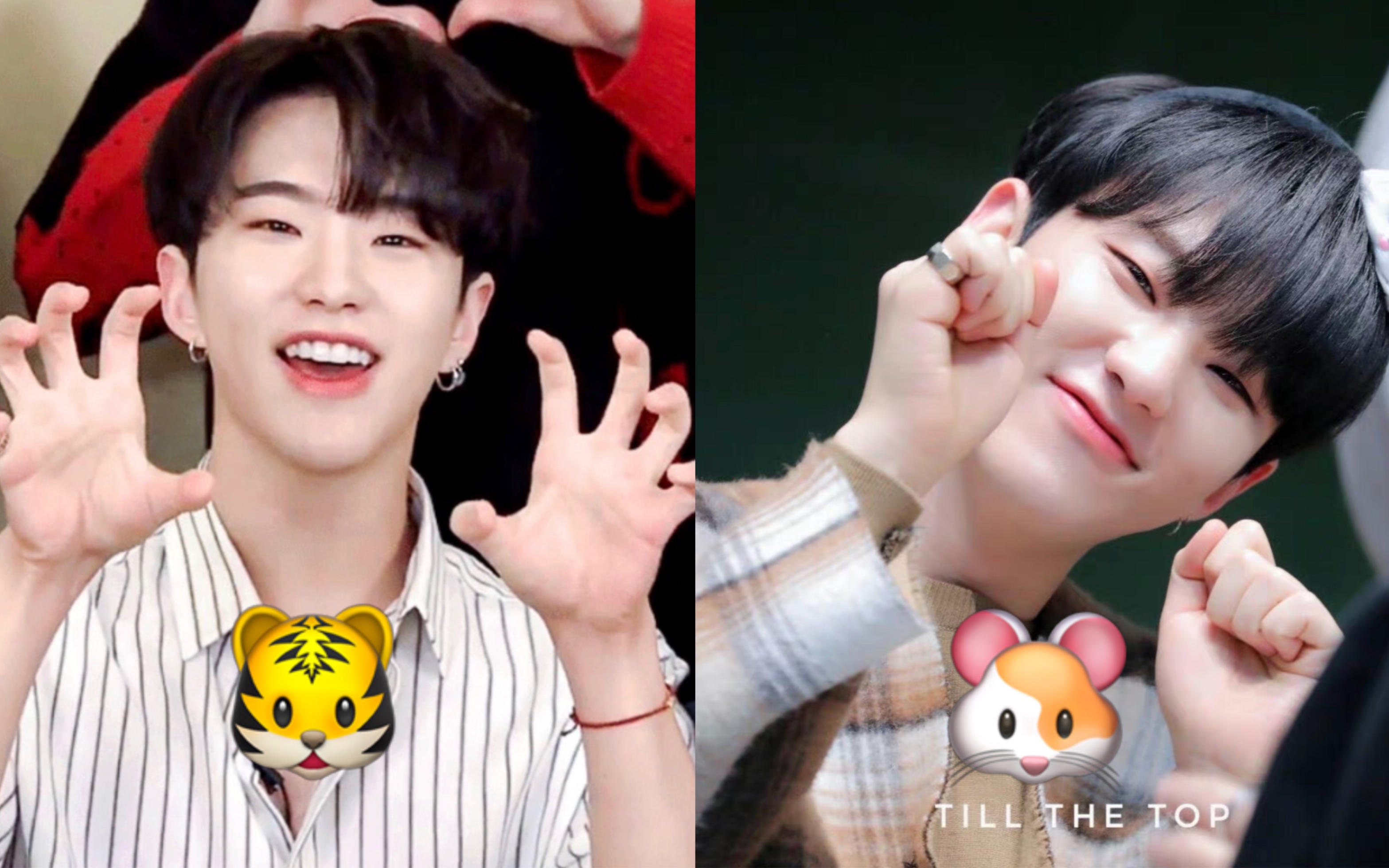 【seventeen|权顺荣】装作自己是老虎的仓鼠国王子