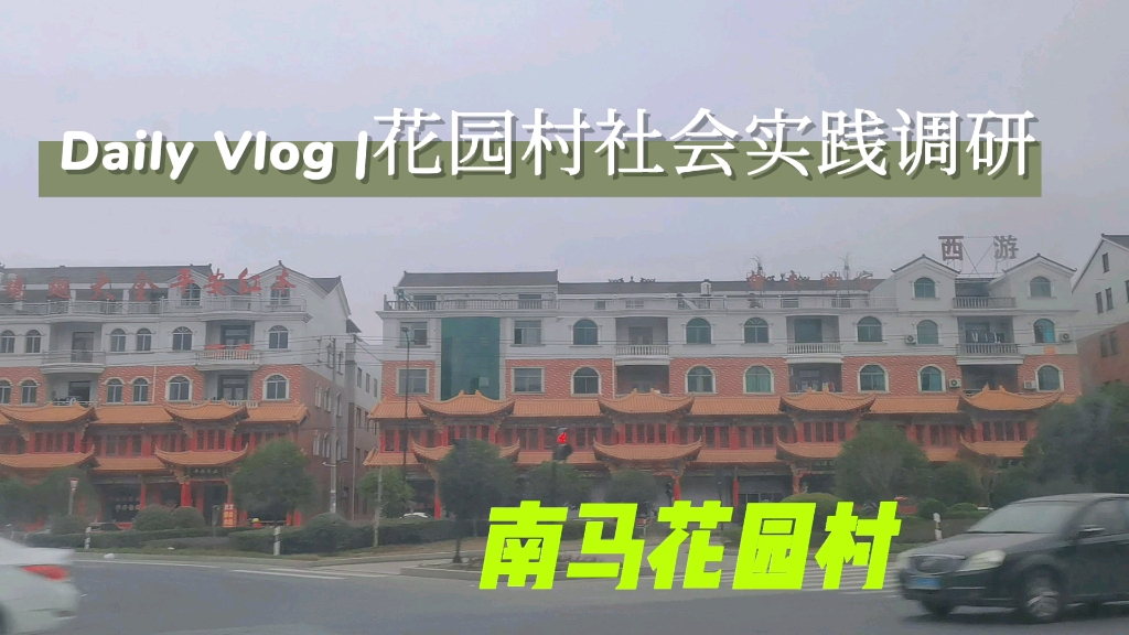 吉林大学| 寒假社会实践 | 浙江东阳南马花园村调研 | 寒假日记 |社牛养成记哔哩哔哩bilibili