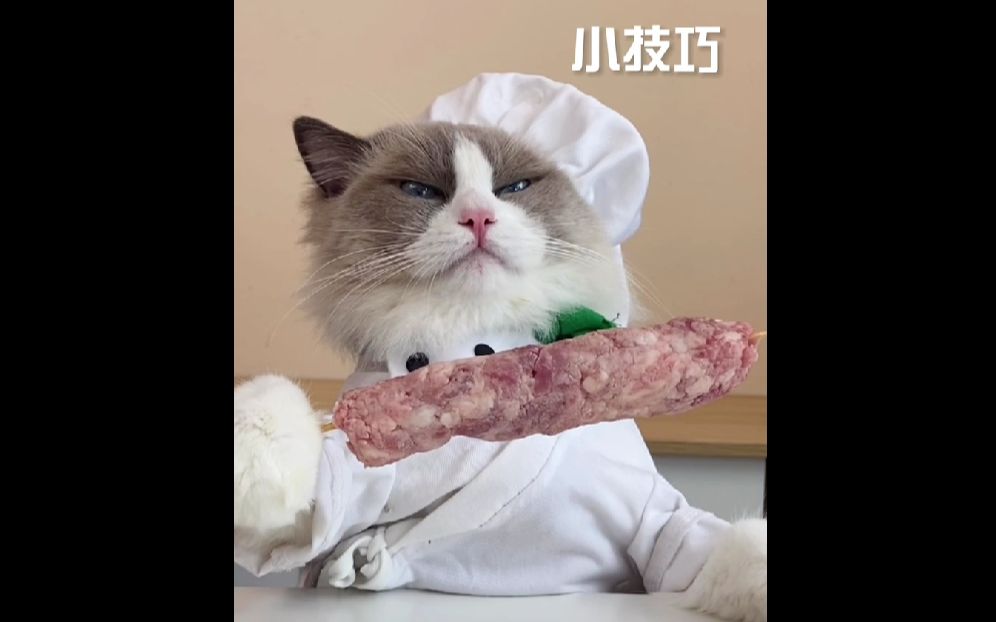 【喵大厨】好物也好小技巧也罢,我能吃到肉最重要,喵.
