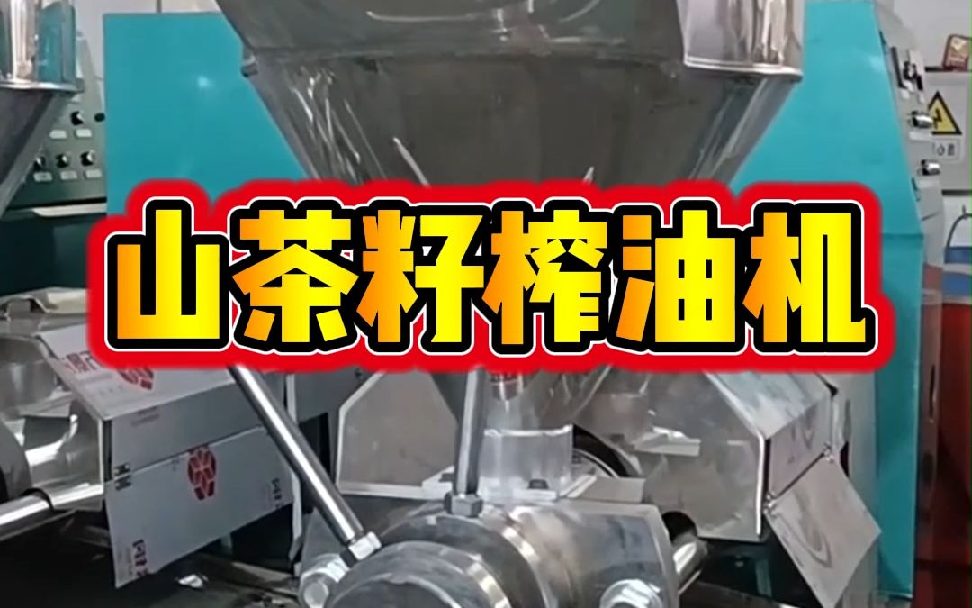 核桃连壳榨油机 山茶籽压榨机 瓜子压油机 全自动螺旋 冷热两用