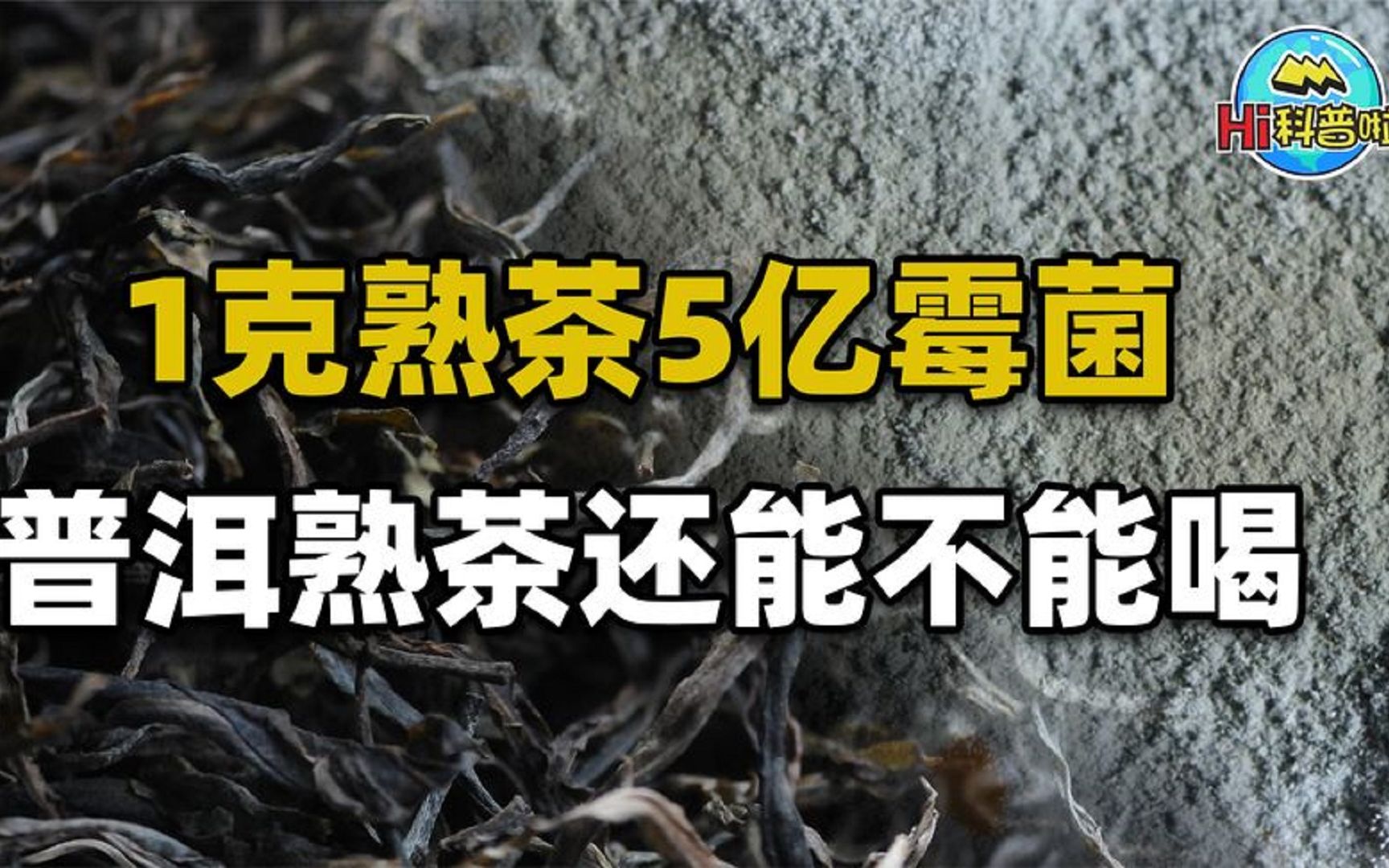 一克熟茶五亿霉菌，喝熟茶等于喝脏水？普洱茶到底还能不能喝？