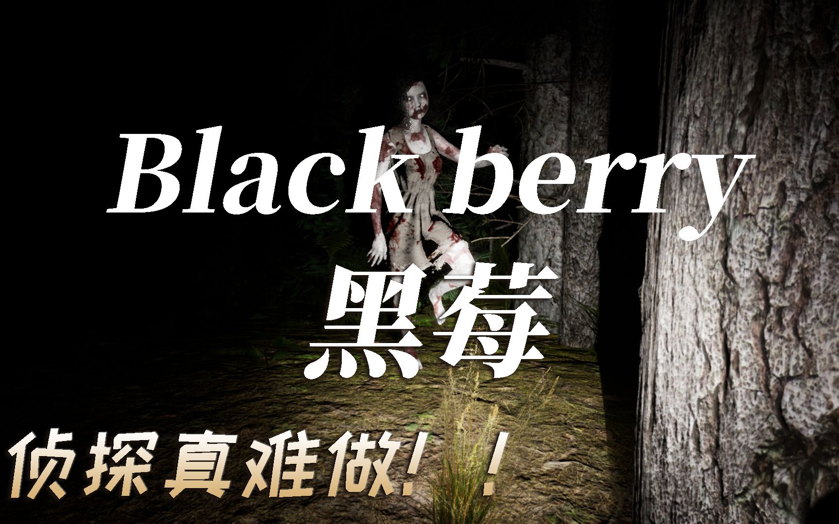 恐怖游戏《Blackberry 黑莓》全流程实况解说单机游戏热门视频