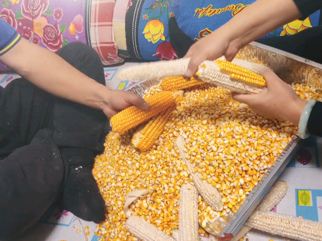 手搓玉米粒
