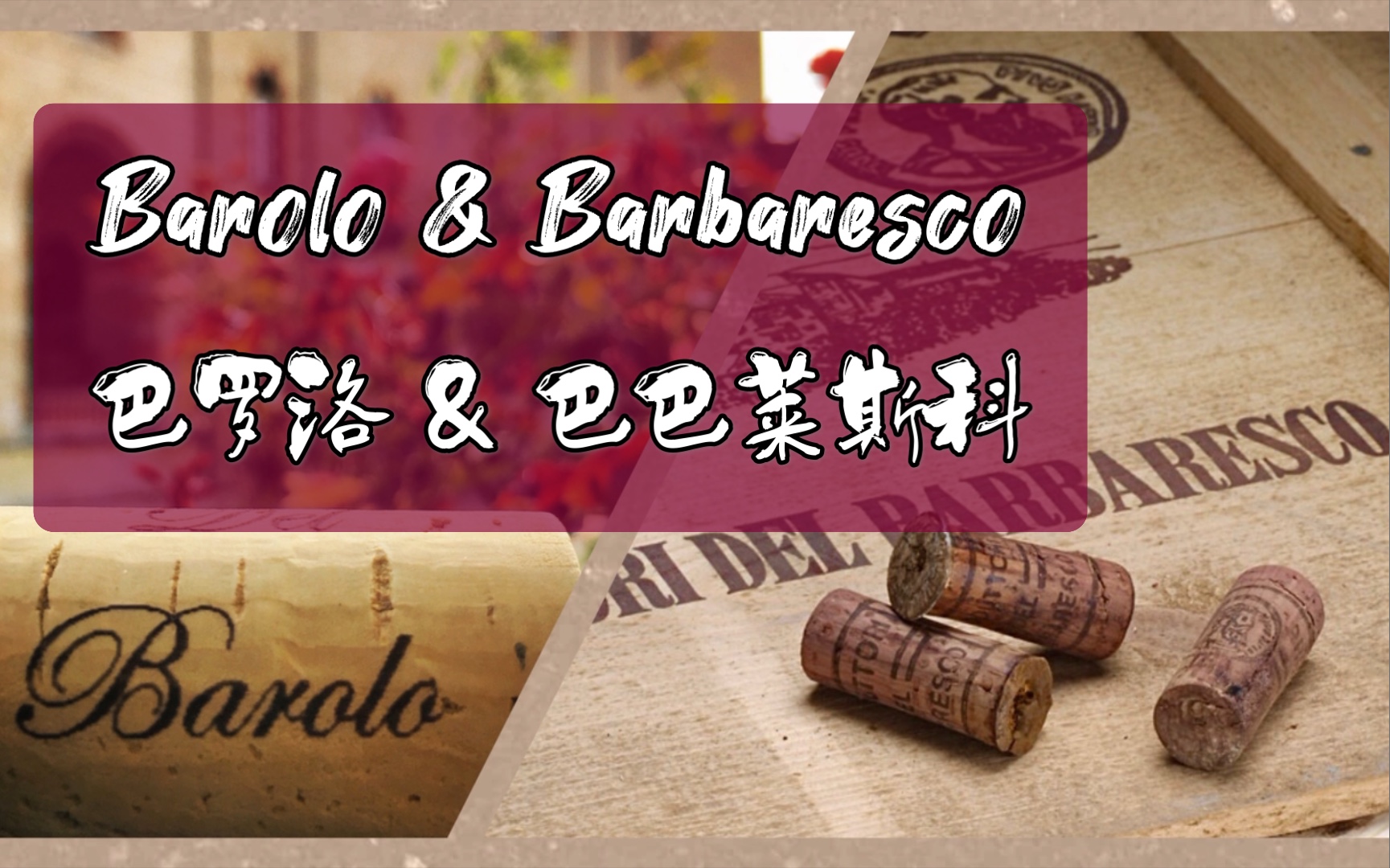 [中英字幕] 巴罗洛&巴巴莱斯科葡萄酒|Wines of Barolo & Barbaresco|GuildSomm 10Feb 2014哔哩哔哩bilibili