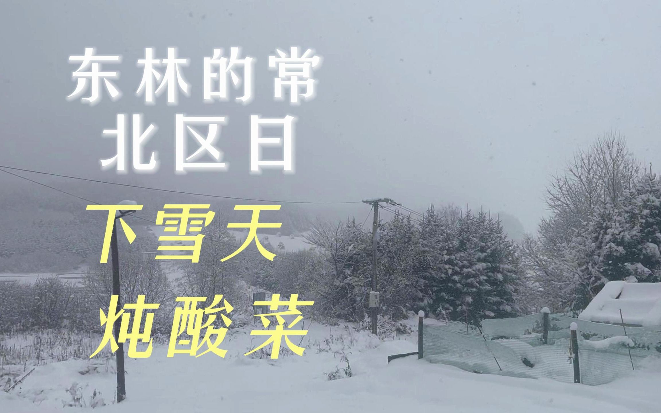 东北林区日常下雪天炖酸菜哔哩哔哩bilibili