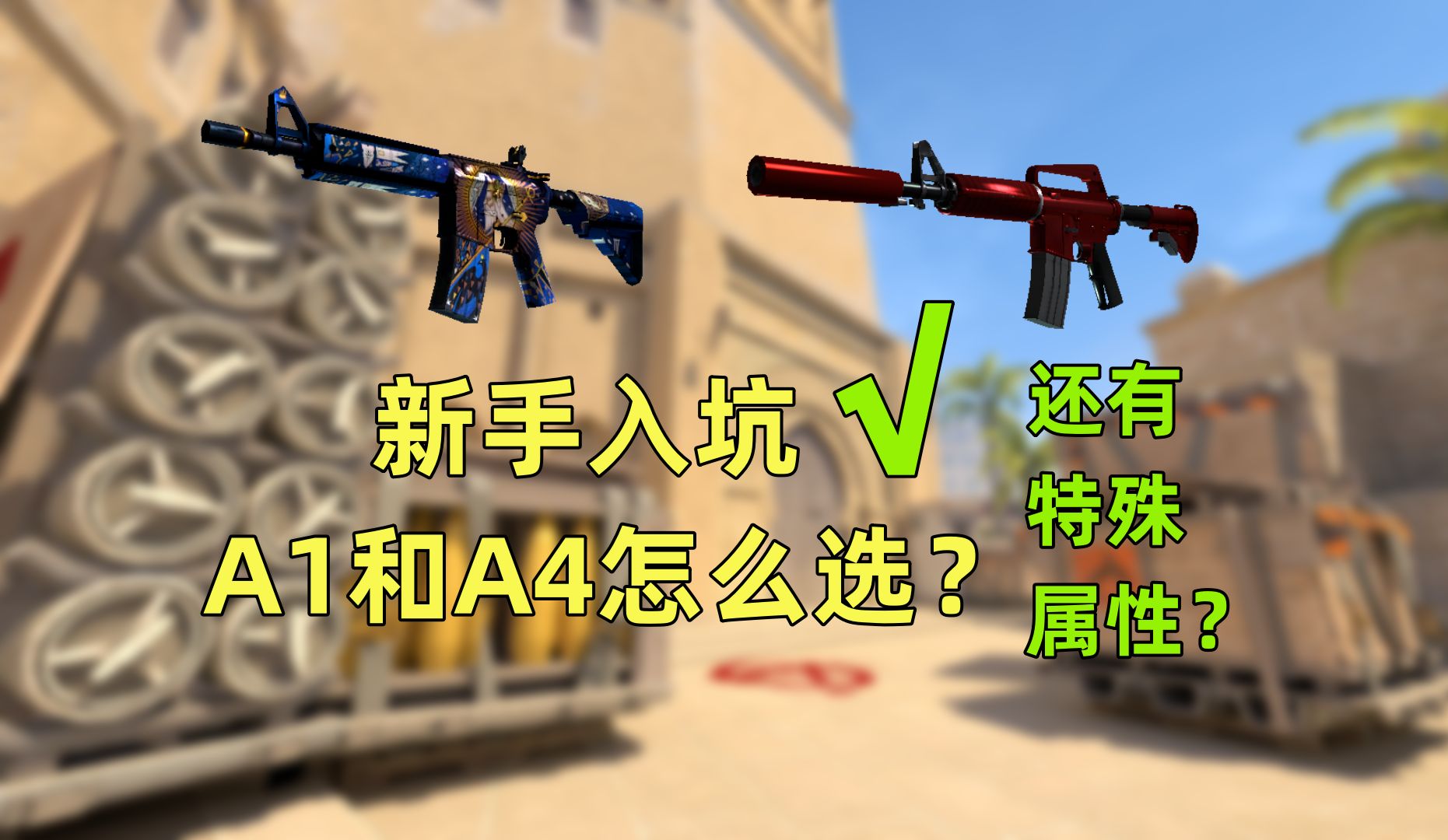 csgo轮椅拿枪图片图片