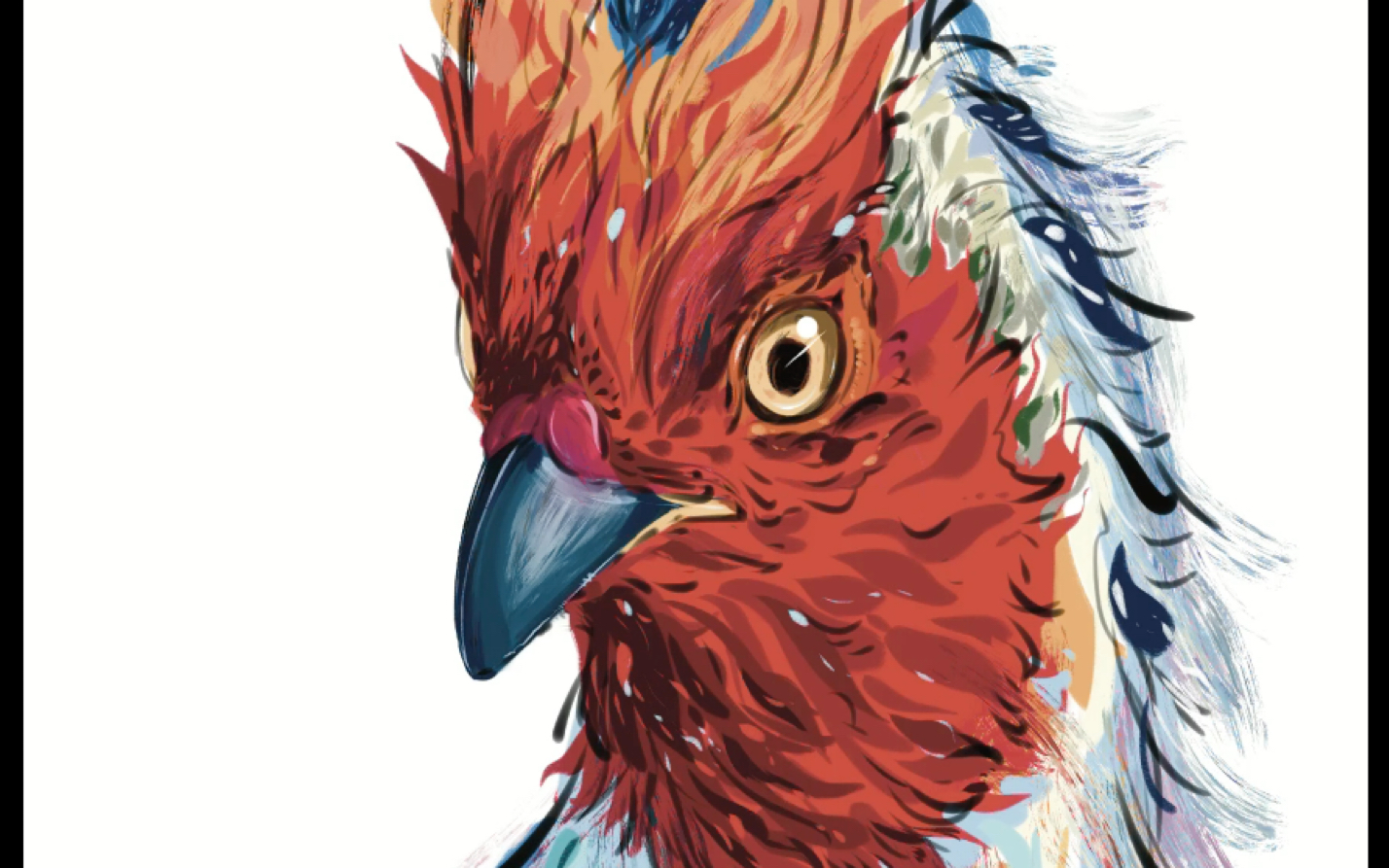 画了一只小山鸡