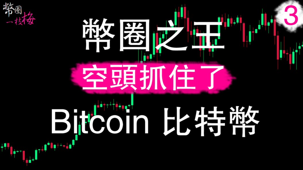 币圈一枝梅 币圈之王 Bitcoin 比特币 成功抓顶哔哩哔哩bilibili