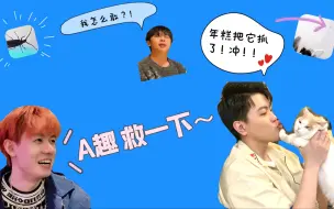 Download Video: 【历史总是惊人的相似】