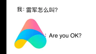 我：雷军怎么叫？小爱：…