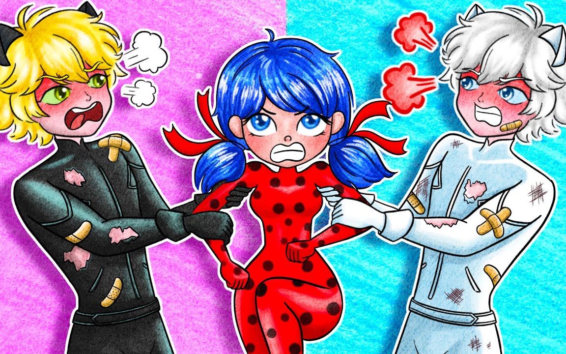 趣味定格动画:黑猫艾俊vs白猫诺尔,你猜瓢虫雷迪会选谁呢?