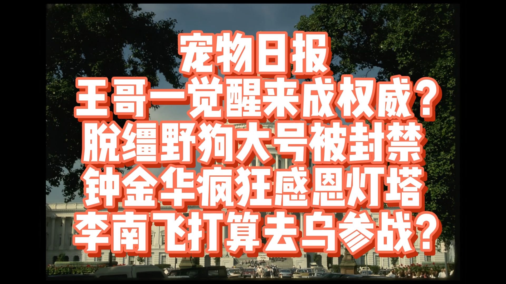 8月24日王哥成权威,丁议员疑似要认罪了,钟金华疯狂感恩!!!哔哩哔哩bilibili