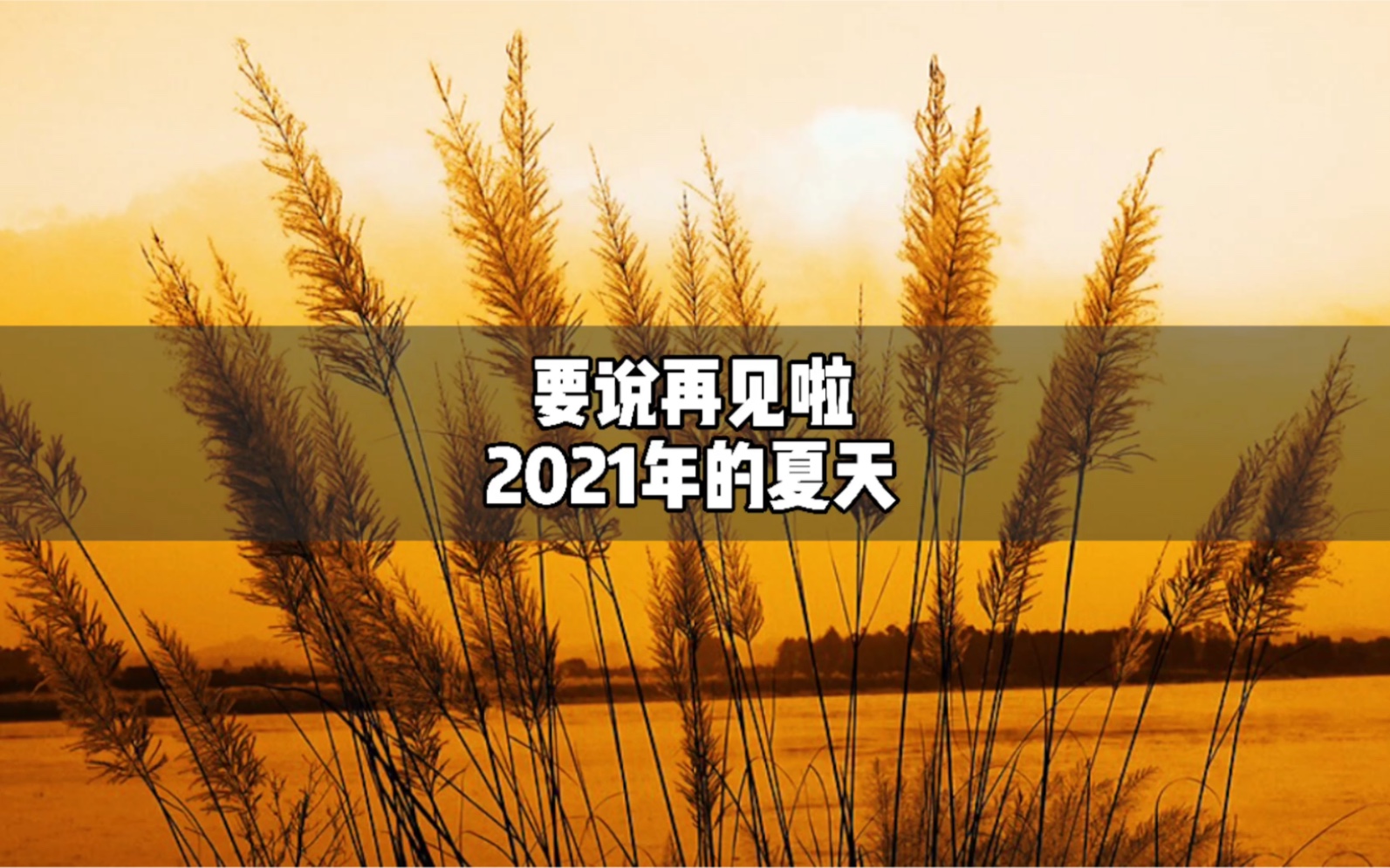 [图]要说再见啦 2021年的夏天