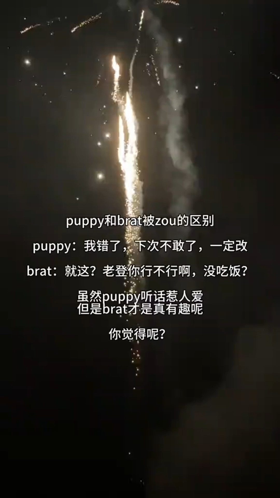 puppy和brat被揍的区别哔哩哔哩bilibili