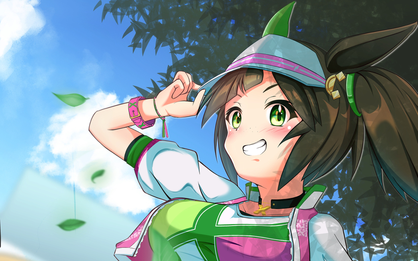 【河豚の愛馬】艾尼斯风神--宝塚记念赛