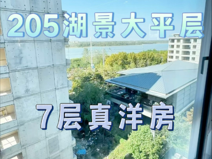 合肥买房 蜀山区 湖景洋房大平层206平四房三卫 550万 一梯一户明年交房 清盘特价 #合肥买房 #合肥新房 #合肥大平层 #合肥洋房 #蜀山洋房哔哩哔哩bilibili