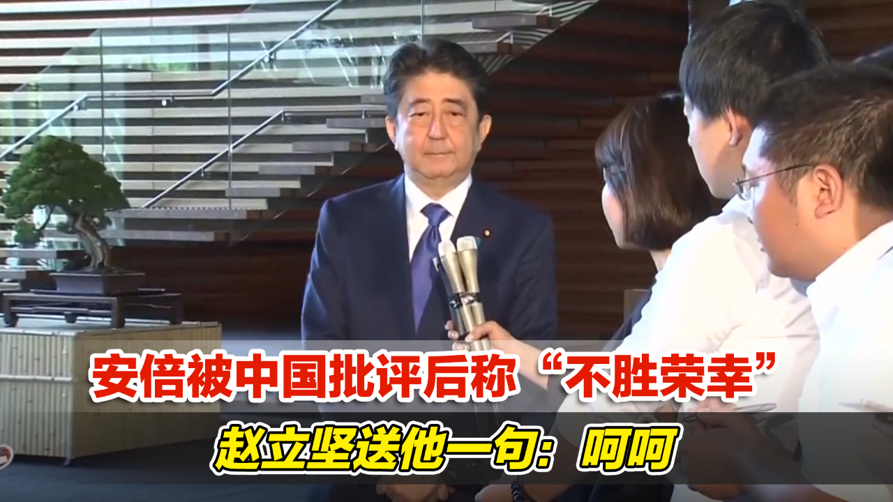 安倍被中国批评后称“不胜荣幸”,赵立坚送他一句:呵呵哔哩哔哩bilibili