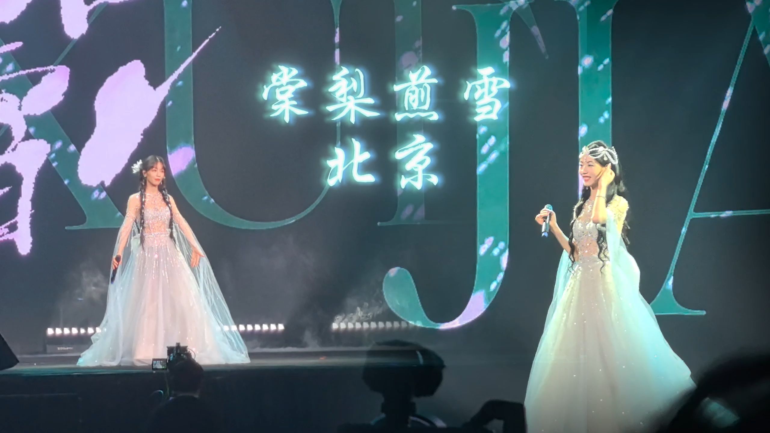 【银临】一年一会信笺却只见寥寥数言(北京棠梨煎雪混剪)