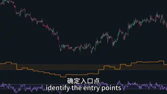 Download Video: 探索成功的“双重 RSI”交易策略