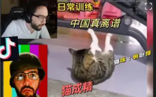 Télécharger la video: 国外主播redshell看中国抖音：中国动物猫咪成精大胡子崩不住了（猫咪合集）