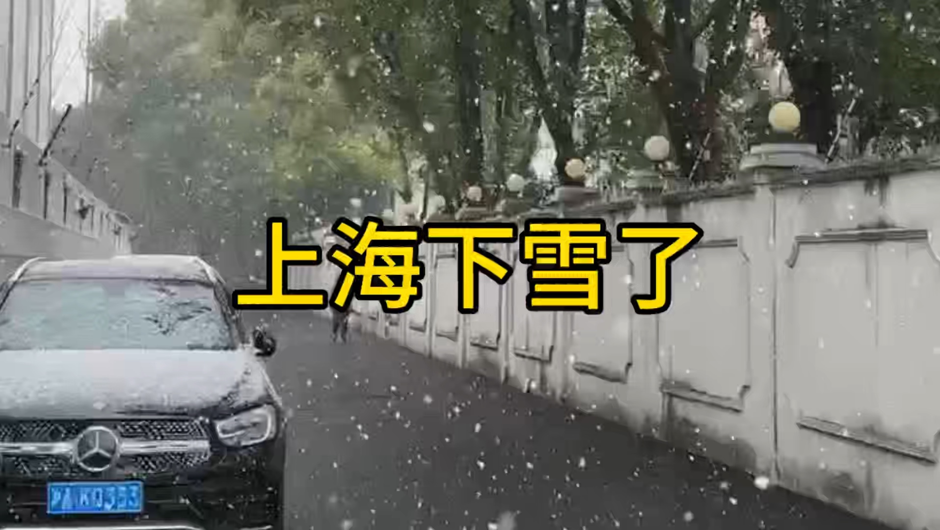 上海下雪了,2024年的第一场雪哔哩哔哩bilibili