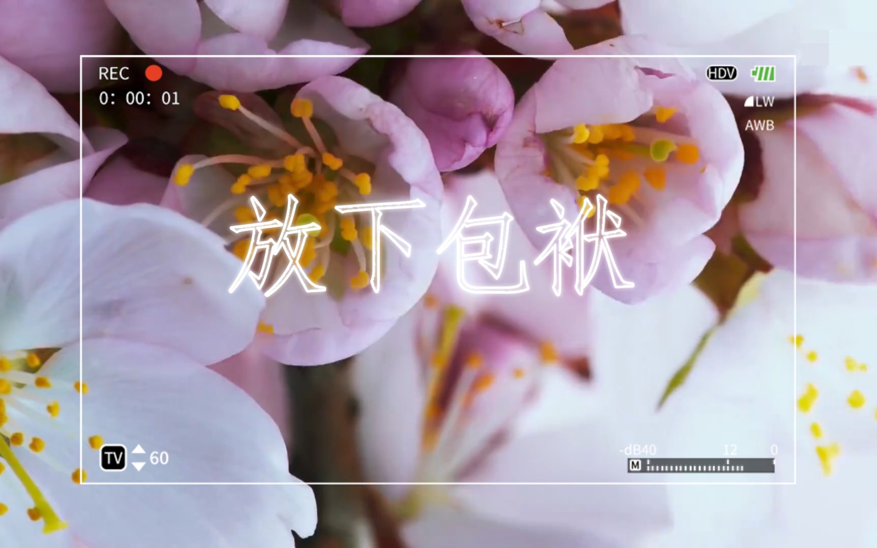 放下包袱,轻松前行!