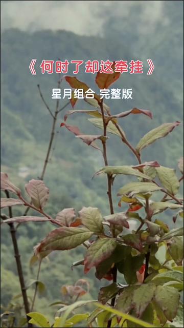 何时了却这牵挂#星月组合完整版#老歌回顾#太好听