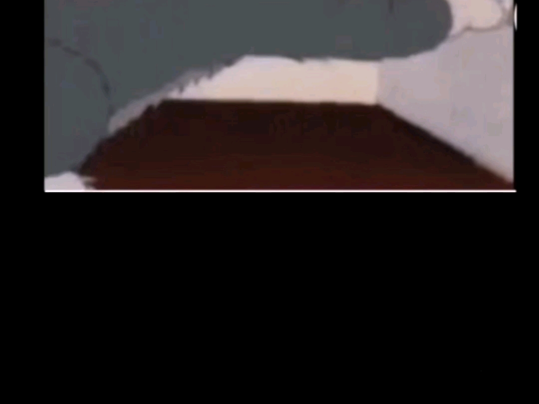 何意为#汤姆猫  ？