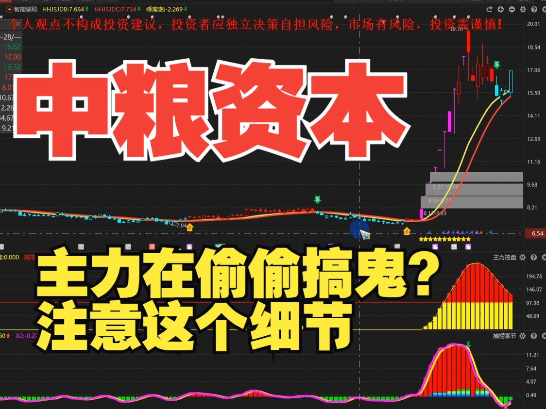 10.28中粮资本:主力在偷偷搞鬼?注意这个细节哔哩哔哩bilibili