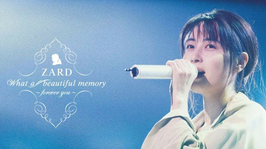 K-POP・アジア ZARD LIVE 2004 What a beautiful moment Amazon.co.jp: ZARD LIVE 2004“What a beautiful moment
