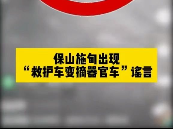 造谣救护车变摘器官车,拘! #云南网警严打整治网络谣言 @保山网警哔哩哔哩bilibili