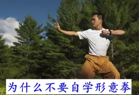 Download Video: 为什么我不推荐自学形意拳？性价比极低