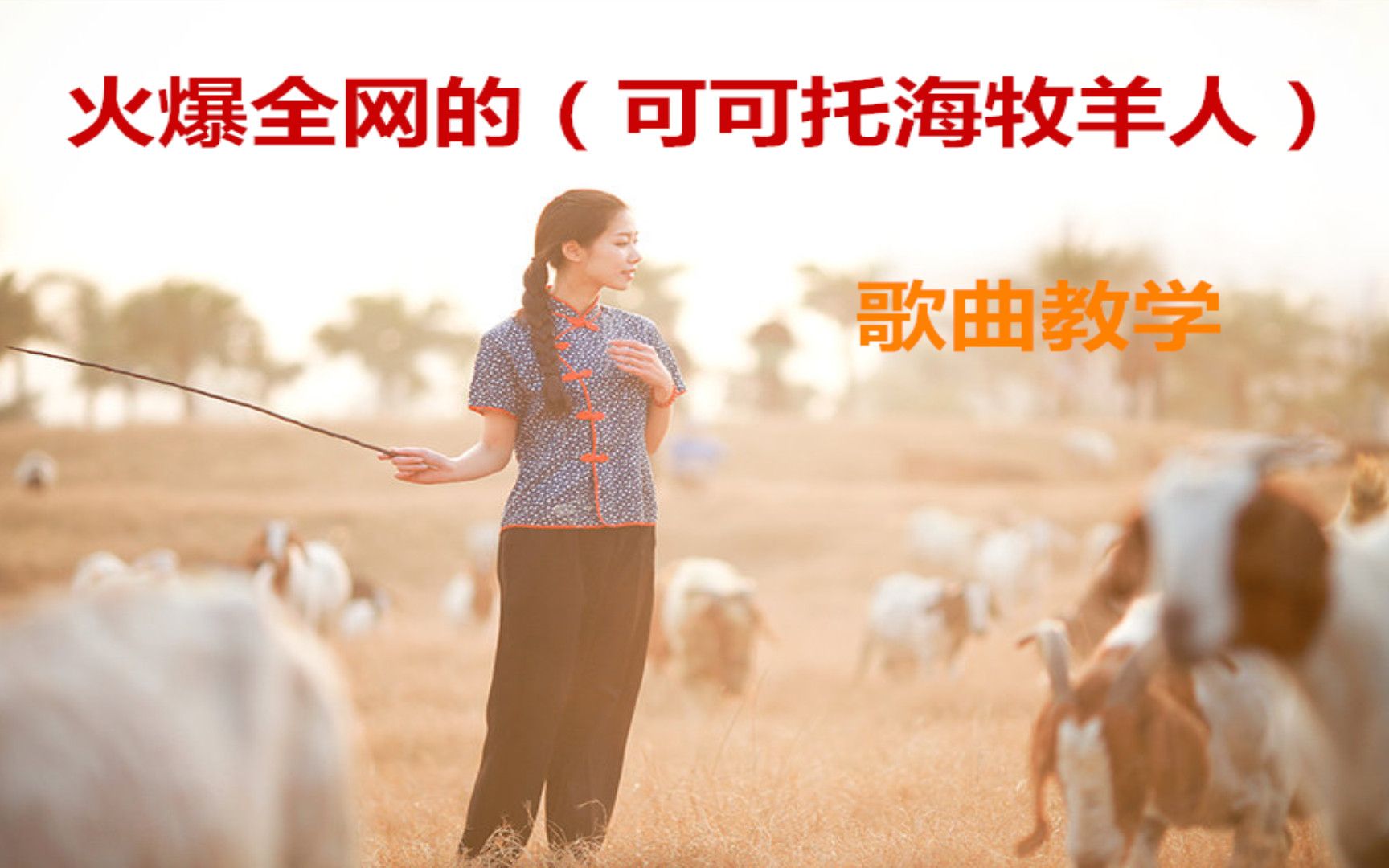 最近爆火的可可托海牧羊人歌曲教学