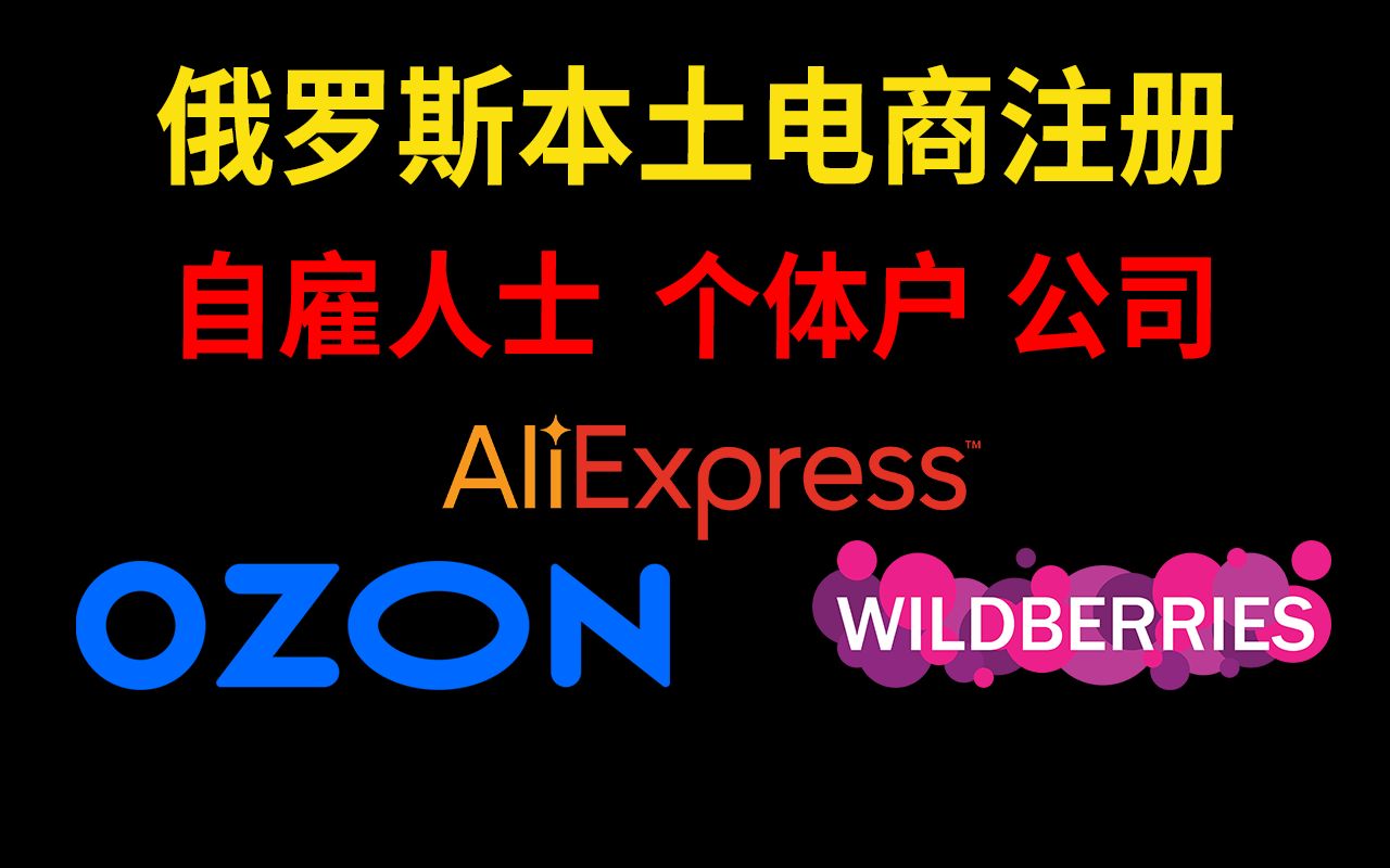 俄罗斯本土电商注册 选择自雇人士,个体户,还是有限责任公司速卖通,OZON, WILDBERRIES哔哩哔哩bilibili