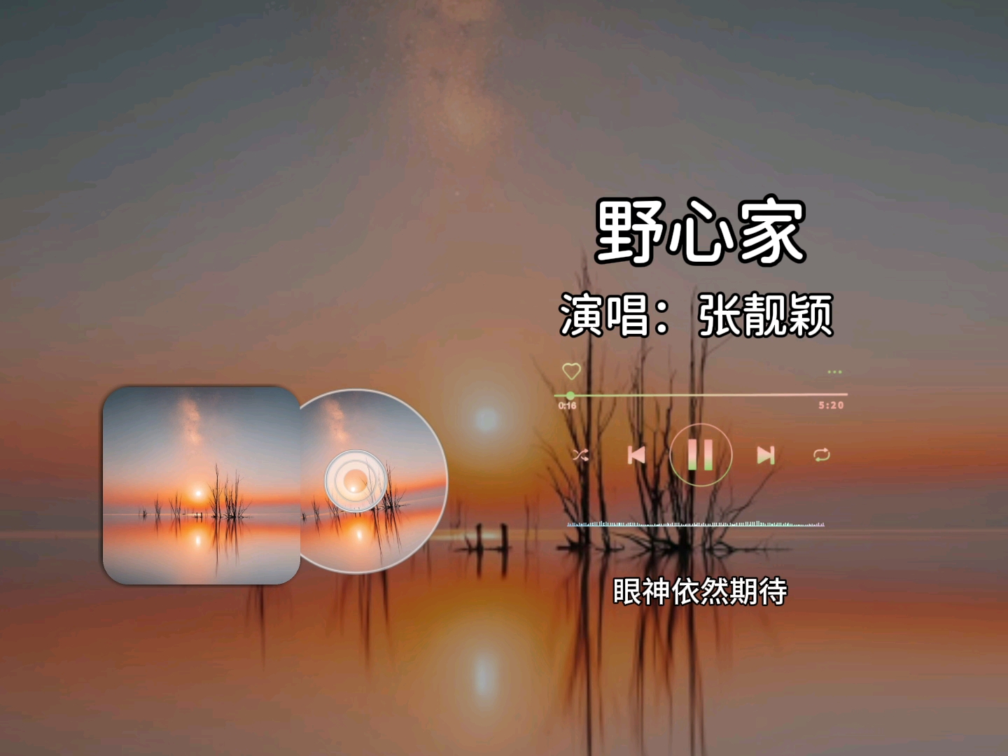 野心家 - 张靓颖