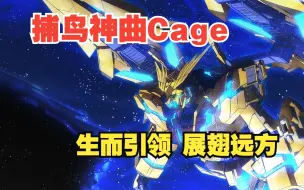 Download Video: 高达NT捕鸟神曲:Cage生而引领 展翅远方