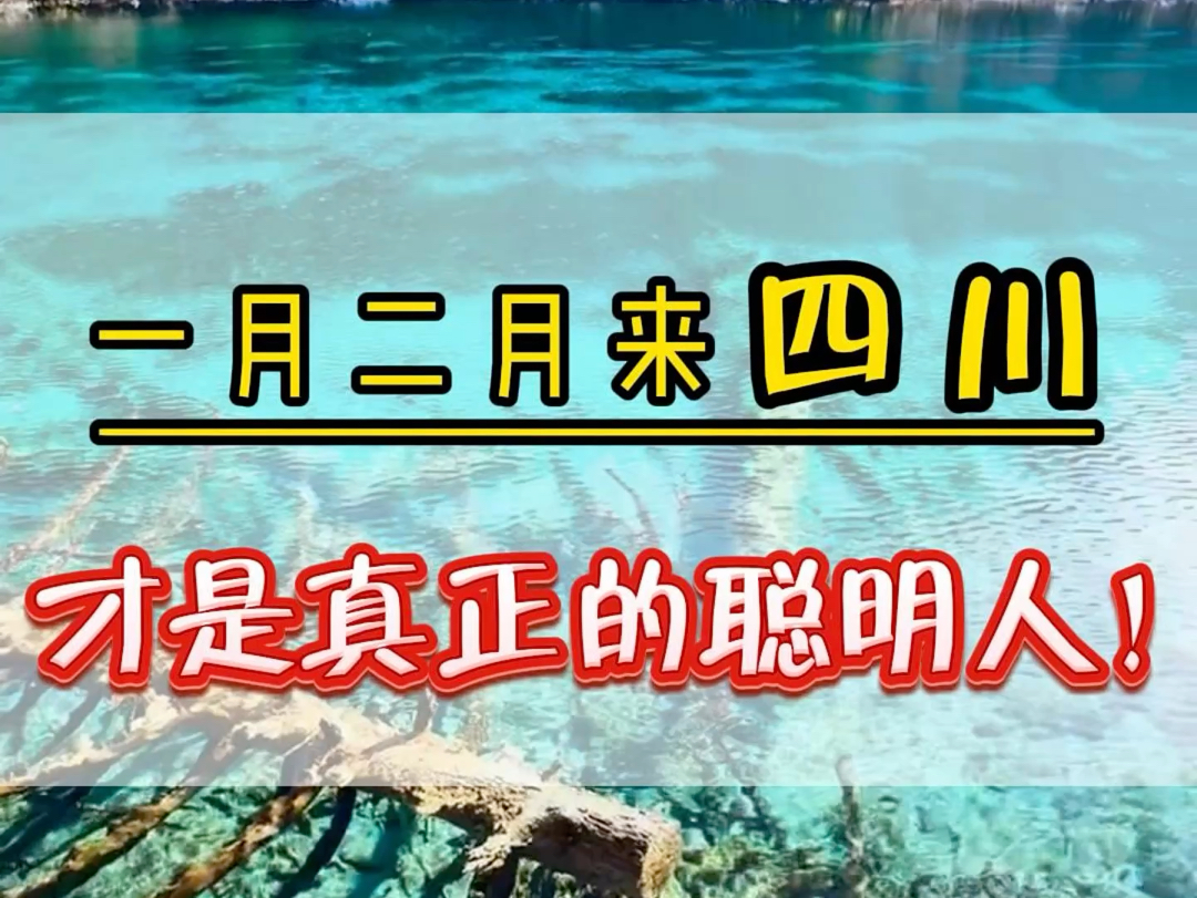 一月,二月份来四川才是真正聪明的人!这个时候不仅能够看到五光十色的海子,还有漫山遍野的彩林,而且人少景美,如果您计划来四川玩,那么这份避坑...