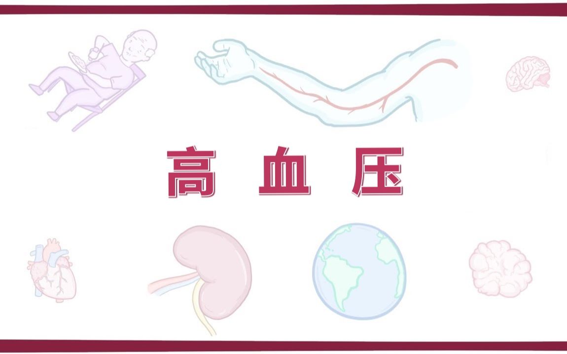 【Osmosis】高血压 Hypertension(中英字幕)哔哩哔哩bilibili