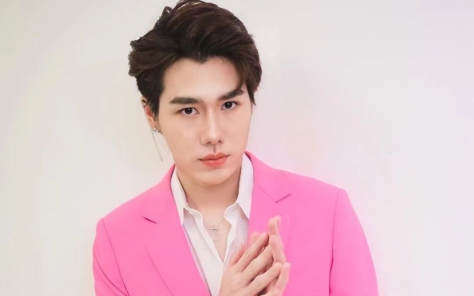 petchpigz some clips of dailynewscharity concert